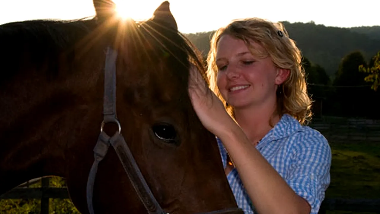 Caii și oamenii au expresii faciale asemănătoare. Ce s-ar putea ascunde în spatele acestui fapt