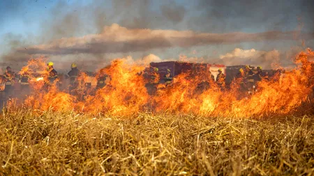 Incendierea vegetației uscate, un PERICOL. Avertisment Garda de Mediu / Peste 10.000 de intervenții ale pompierilor în primele șapte luni ale anului