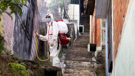 ANUNȚ. Primăria Sectorului 2 începe dezinsecția împotriva țânțarilor. Acțiunea are loc noaptea, timp de zece zile