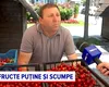 Fructe mai puține și mai scumpe. Cât au ajuns să coste cireșele, caisele și vișinele în piețe