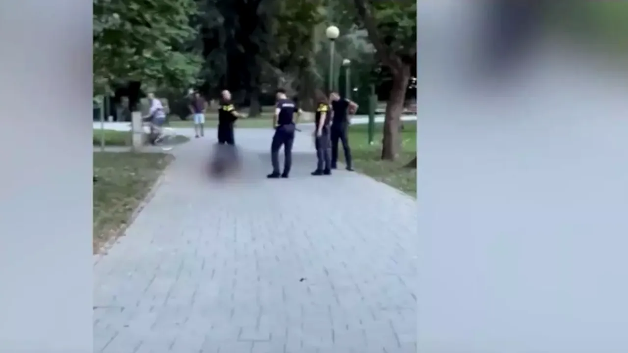 Incident ȘOCANT în Satu Mare: Un ucrainean beat a creat panică într-un parc, după ce a amenințat cu pistolul mai mulți trecători