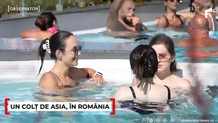 Magia Coreei de Sud a ajuns la București, într-un festival inedit, cu gastronomie asiatică, muzică și sport