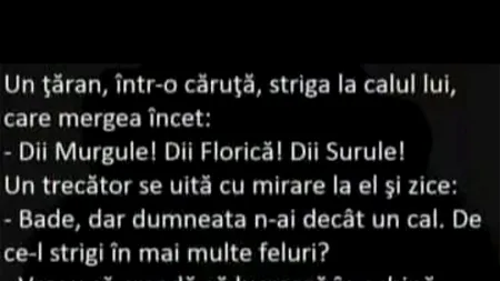 Bancul de miercuri | Țăranul și calul
