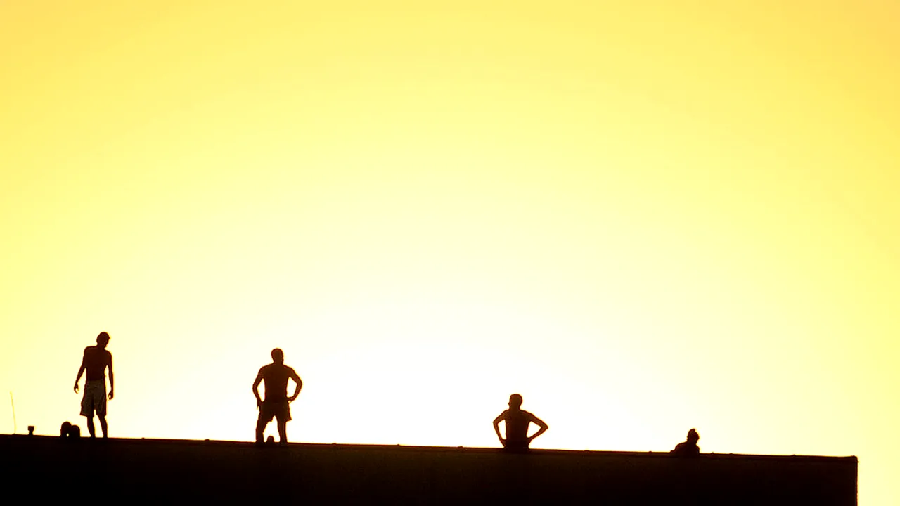 Duminica alegătorului plictisit 