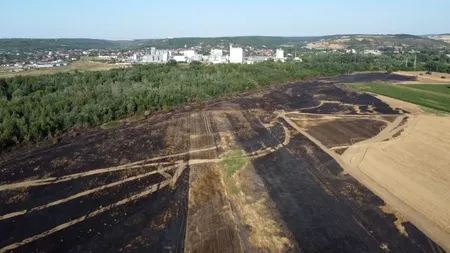 Culturi de grâu, pârjolite de FOC. Incendiile de vegetație au luat amploare în județele Dolj și Mehedinți