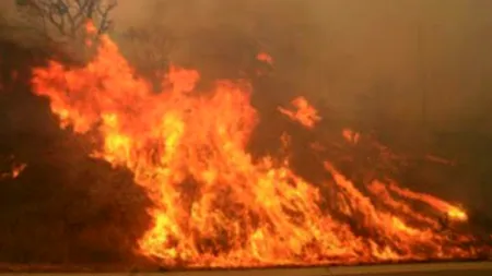 Sute de persoane au fost evacuate din cauza incendiilor forestiere în nord-estul Spaniei