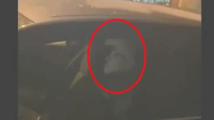 Polițistul adormit. Un om al legii a fost filmat în timp ce dormea la volan, cu motorul pornit, în timpul serviciului - VIDEO