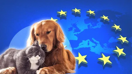 Uniunea Europeană impune reguli noi pentru proprietarii animalelor de companie. Ce măsuri devin obligatorii