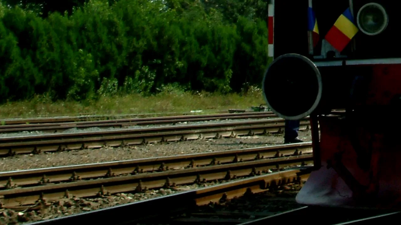 Zece bucăți de cale ferată ale mocăniței care circulă la Moldovița, furate