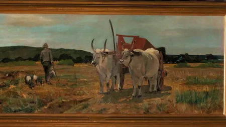 Pictura „Car cu boi” de Nicolae Grigorescu, expusă pentru prima dată după RESTAURARE la Palatul Culturii din Iași