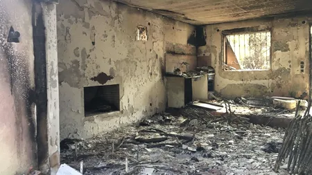 Casa și arhiva privată ale regizorului Theo Angelopoulos, distruse de flăcări