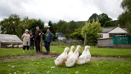 România ar putea pierde anul viitor fonduri UE de 1,26 mld. euro pentru competitivitate economică