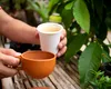 Cum te ajută zațul de cafea în grădină. Are multiple întrebuințări benefice