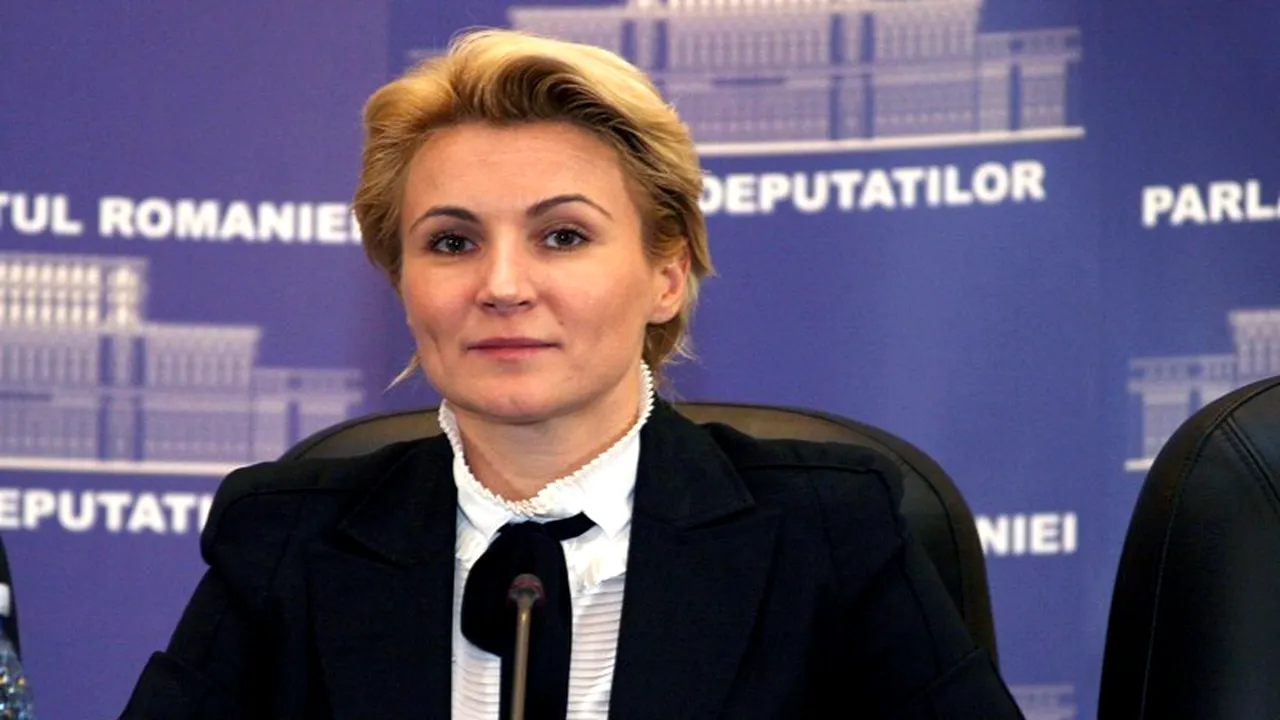 Schimburi de replici la Comisiile de Buget din Parlament: