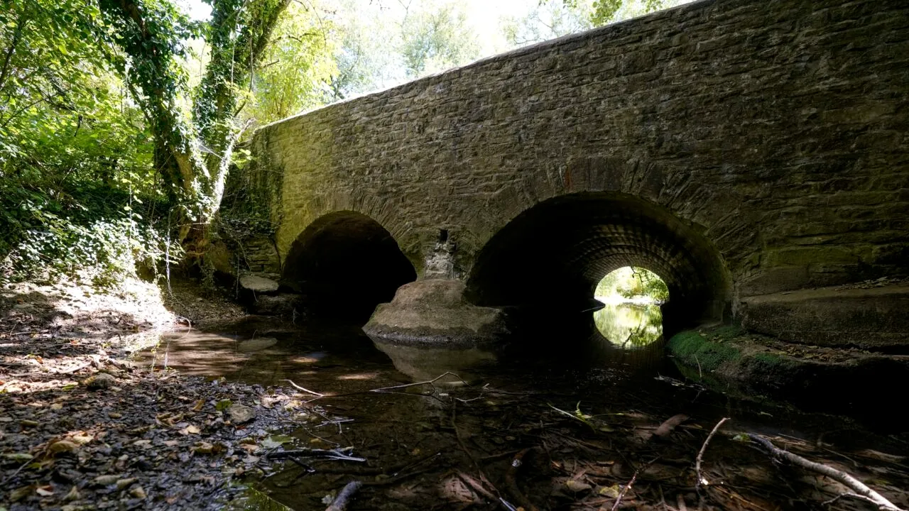 Efectele secetei: izvorul râului Tamisa din Marea Britanie a secat