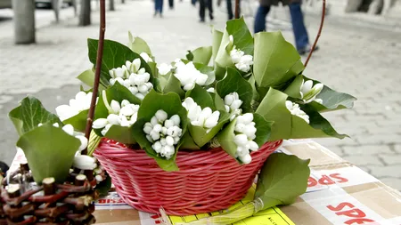 VREMEA în următoarele două săptămâni: primăvara vine mai devreme