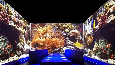 Cum arată meniurile cu cele mai scumpe meniuri din lume. La ce sumă ajunge o masă în doi