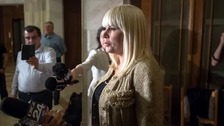 Udrea, despre „statul paralel