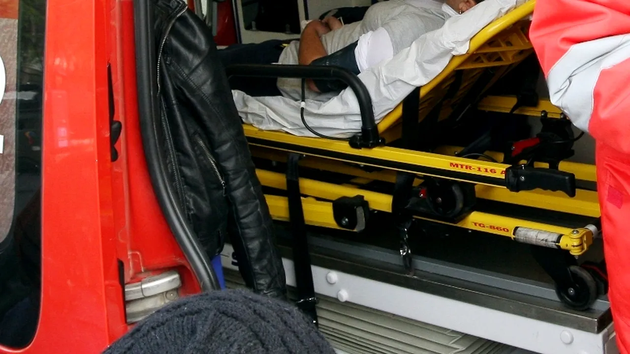 Femeie mușcată în parc de un câine scos la plimbare fără lesă și botniță