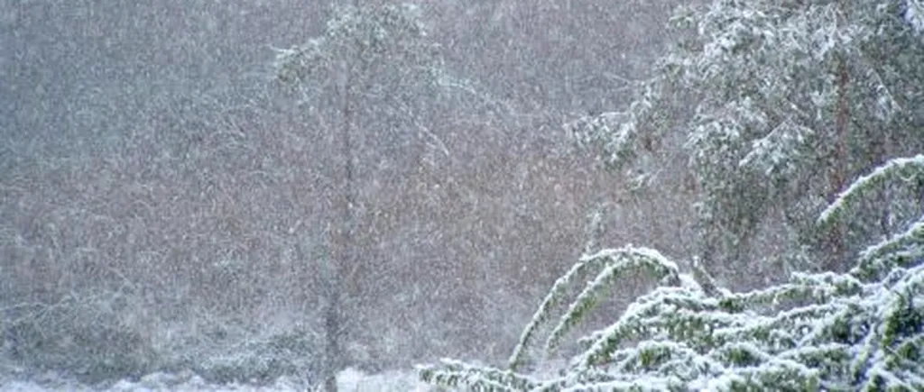 ANM, prognoză specială pentru București: Va ninge până miercuri dimineață