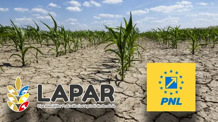 Asociațiile PRODUCĂTORILOR agricoli se delimitează de liderii PNL: Respingem orice încercare de capitalizare electorală