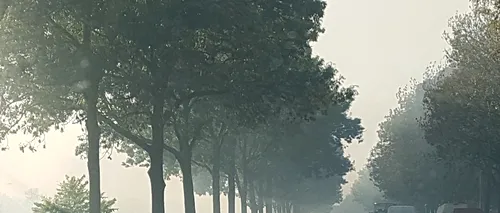 FOTO / VIDEO Alertă în Capitală: Trafic restricționat pe Splaiul Unirii din cauza unui incendiu de vegetație