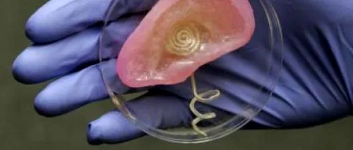 Cercetătorii americani au scos o ureche bionică la o imprimantă 3D