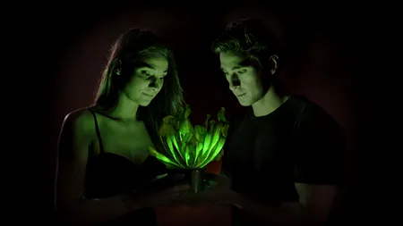 La început toți au spus că sunt niște aberații. Ideile trăsnite care le-au adus însă miliarde întreprinzătorilor