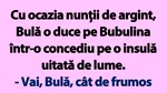 BANC | Bulă, Bubulina și nunta de argint