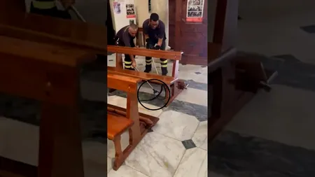 A fost PANICĂ într-o biserică din Italia, după ce enoriașii s-au trezit cu un șarpe printre ei. Momentul capturării reptilei a fost filmat