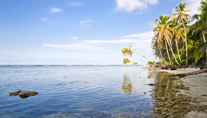 O insulă a fost descoperită în Oceanul Pacific. De ce este unică, potrivit oamenilor de știință