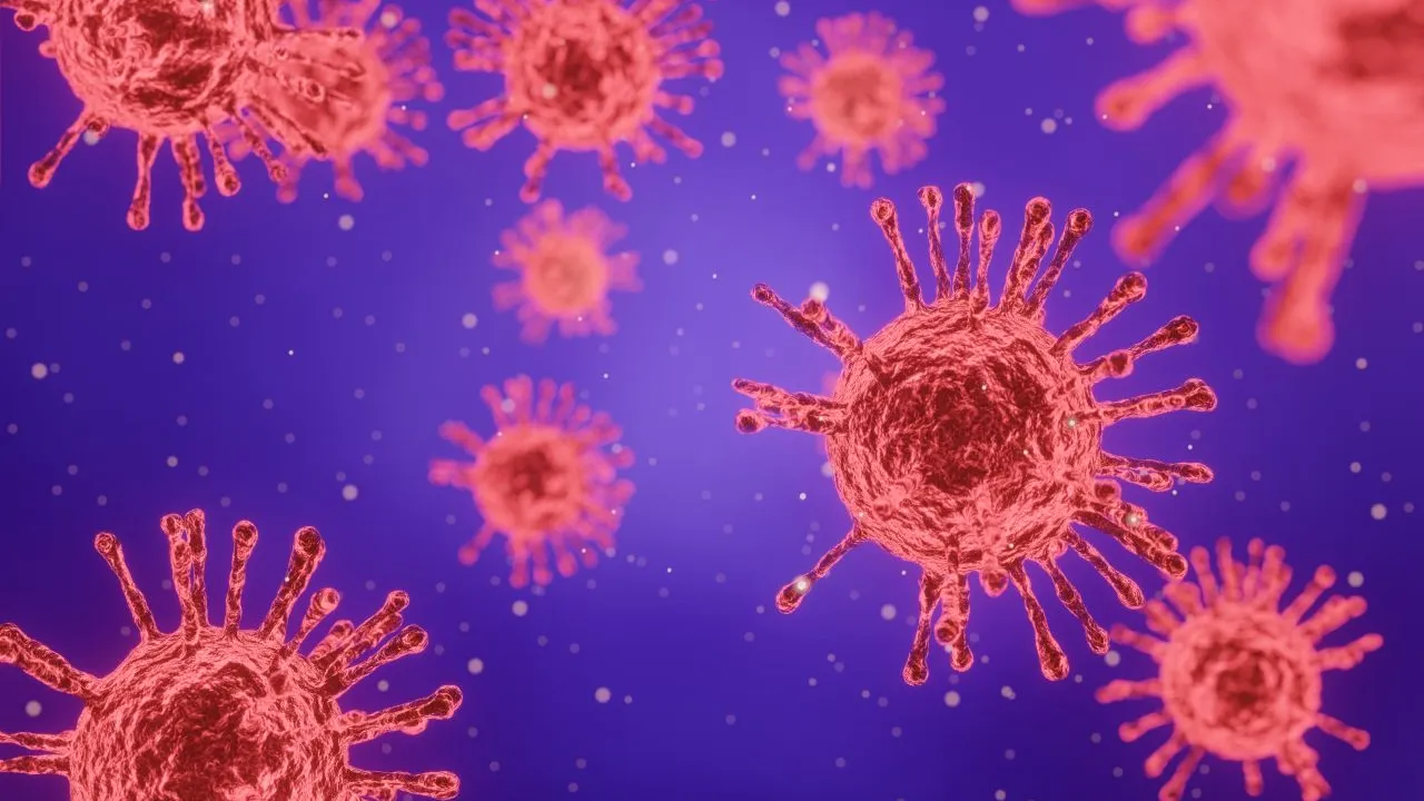 Bilanț coronavirus 17 iunie. 87 de cazuri noi de COVID-19 în România în ultimele 24 de ore