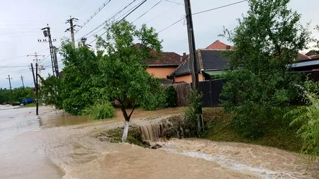 Prăpăd în județul Arad: O rupere de nori a inundat aproape toate casele și străzile dintr-o comună - VIDEO / FOTO