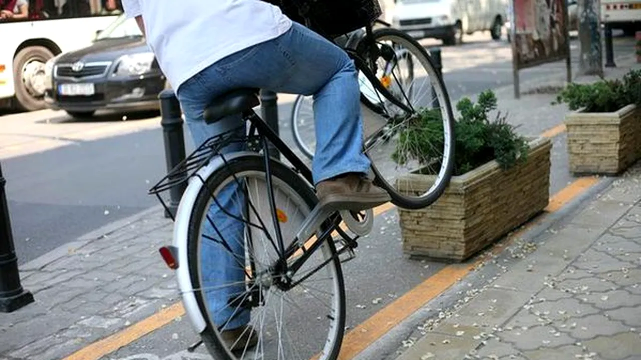 Cum arată pista de biciclete ''mai curbată ca Bega'' care leagă Timișoara de Serbia. ''Așa e proiectul''