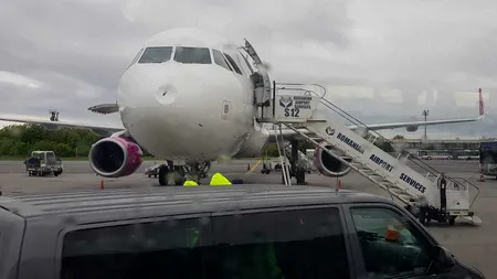 Un avion s-a întors pe aeroportul Henri Coandă din cauza impactului cu o pasăre
