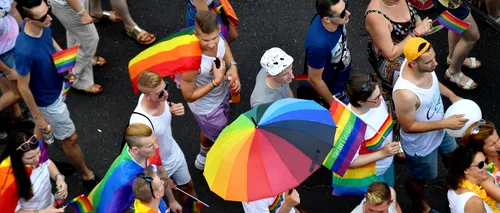Ungaria adoptă o lege care interzice „promovarea” homosexualităţii în rândul minorilor. Filmul „Harry Potter” ar putea fi interzis copiilor