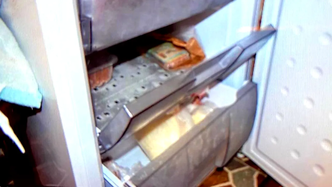 „Bani-gheață!” Polițiștii au dat lovitura după ce au deschis congelatorul contrabandiștilor de țigări