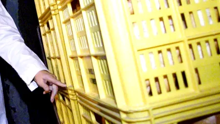 Un clujean a găsit viermi în chiflele cumpărate de la un supermarket