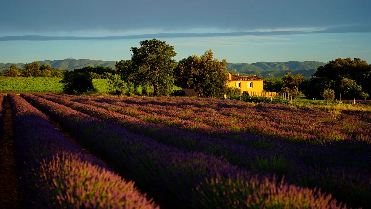 Idei de vacanță: Destinații turistice feerice pentru cei pasionați de arta fotografică și de pictură