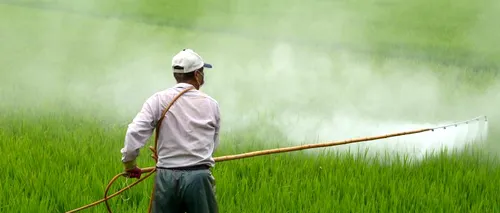 Un alt pesticid, interzis de Executivul european. Neonicotinoidul thiacloprid ar genera toxicitate reproductivă