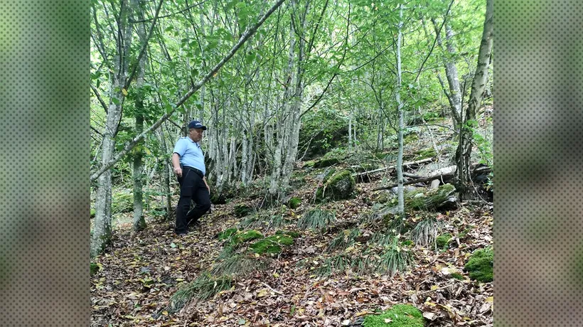 CADAVRUL unui bărbat a fost descoperit de jandarmi, după o lună, într-o pădure din Alba