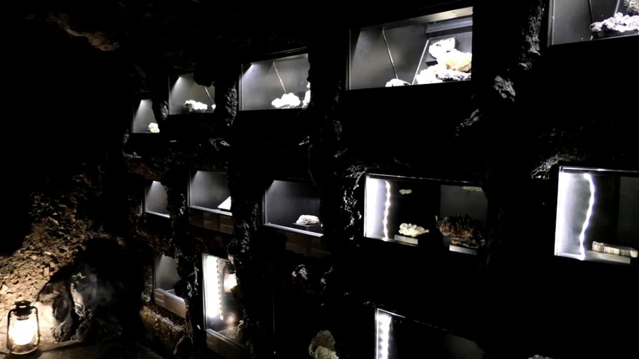 Comoara ascunsă în subsolul unui muzeu din Iași! Cum au descoperit-o elevii unei școli din apropiere