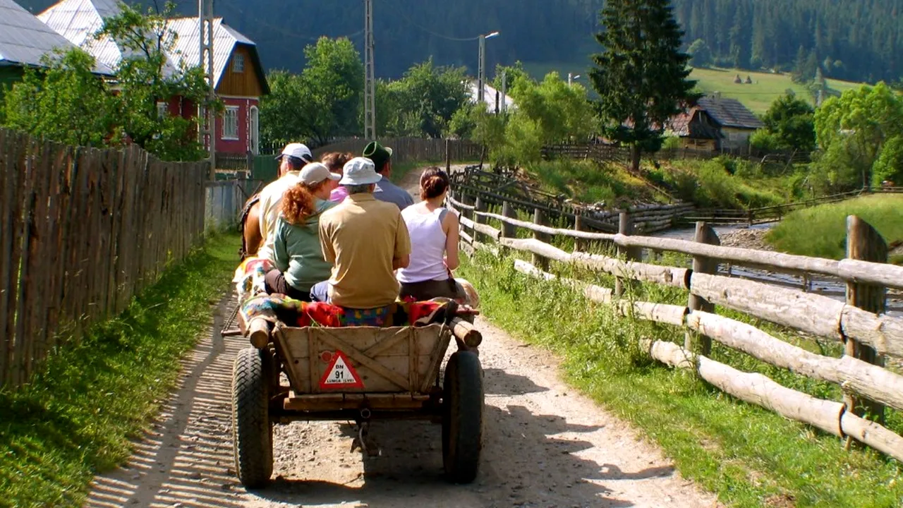 Atenție! Ai căruță, trebuie să o asiguri. Ce spune Ordonanța privind asigurările RCA