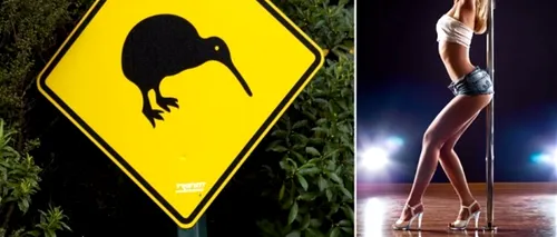 Semne de circulație din Noua Zeelandă, distruse de prostituatele care dansează la bară pe străzi