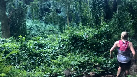 Detaliul bulversant din acestă FOTOGRAFIE, făcută de o tânără amicei ei, în timpul unei drumeții prin pădure