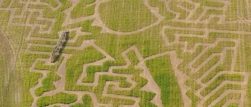 Labirint construit în cinstea campionului olimpic Usain Bolt 