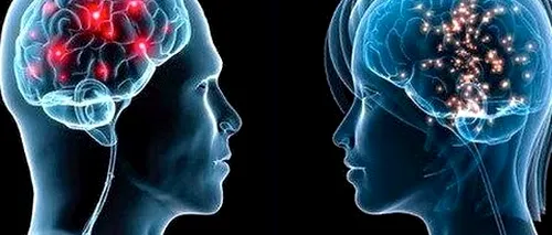 Care este diferența dintre creierul femeilor și cel al bărbaților