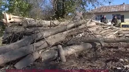 Gestul scandalos al unui primar din Iași: și-ar fi însușit el o parte din lemnele cumpărate din bani publici pentru încălzirea grădiniței