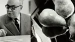 Aurel Bauh – povestea fotografului român uitat de istoria artei. Unde se găsesc azi lucrările sale