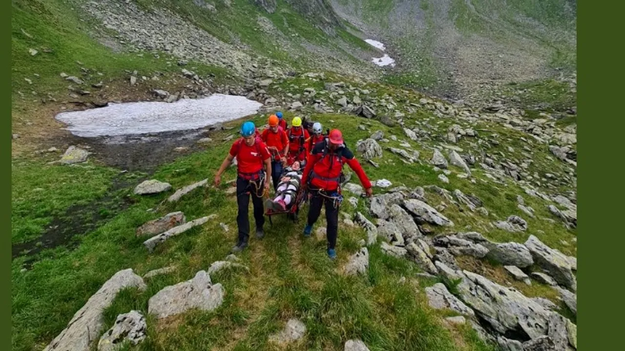 Turist în Piatra Craiului, intrat în şoc anafilactic după ce a fost înţepat de albină